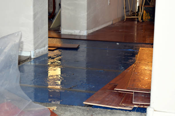 Professional Burst Pipe Cleanup technician working in Grapeview, WA